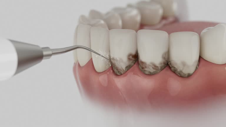 Reliable Dental contractor in Fern Acres, HI by Dentist Open Now